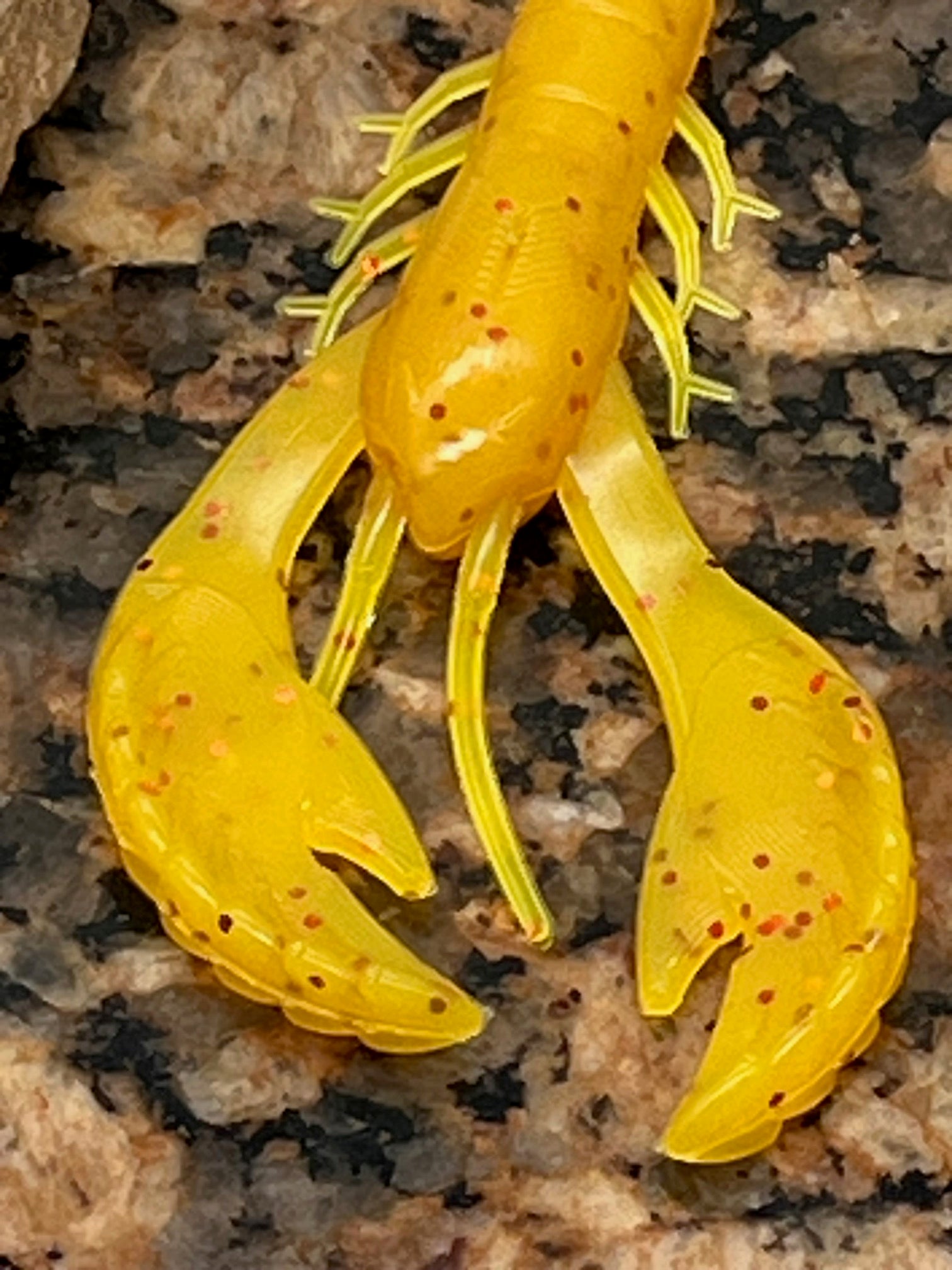 4 inch Ecto Crawl Chartreuse Red qty 6 per pack