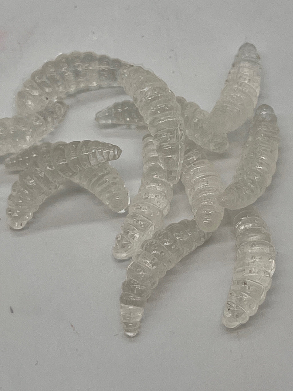 7/8 wax worms Clear Glow n dark qty 100 per pack