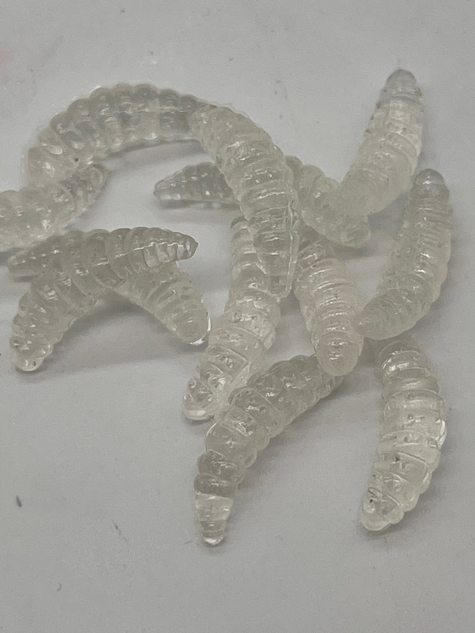 7/8 wax worms Clear Glow n dark qty 100 per pack