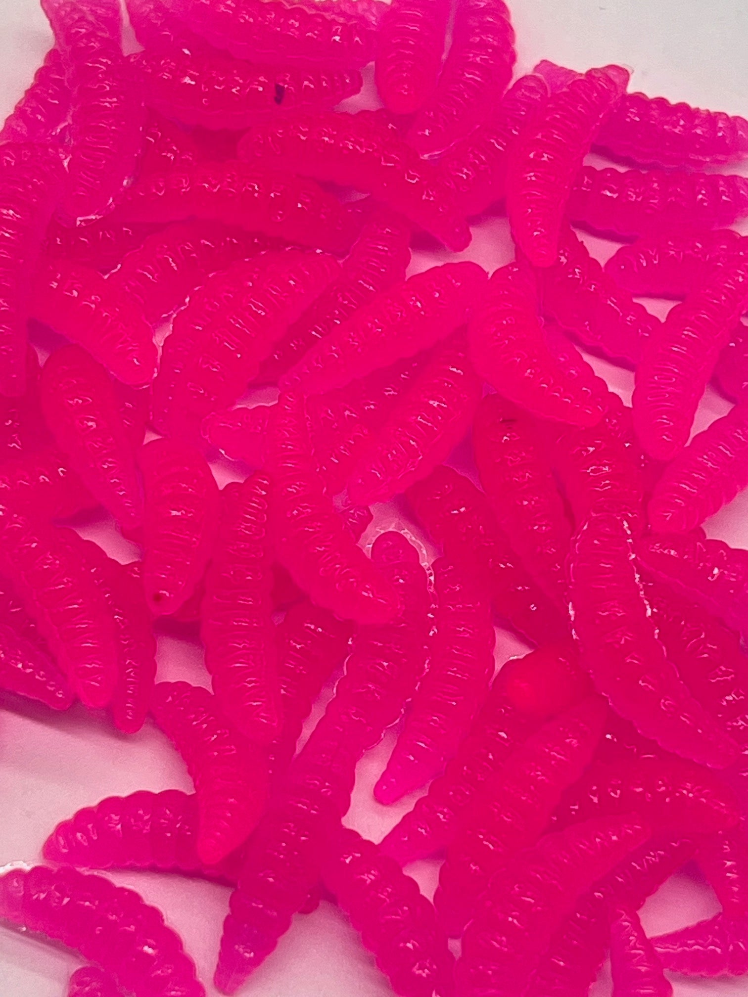 7/8 wax worms Hot Pink qty 100 per pack