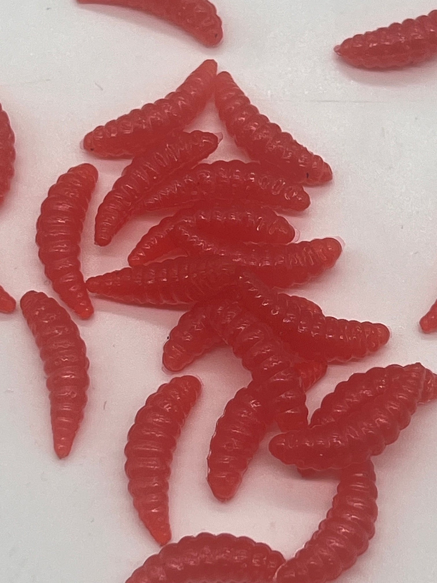 7/8 wax worm  Bright Red  qty 100 per pack